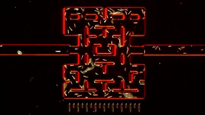 Mikroskopijny Pac-Man