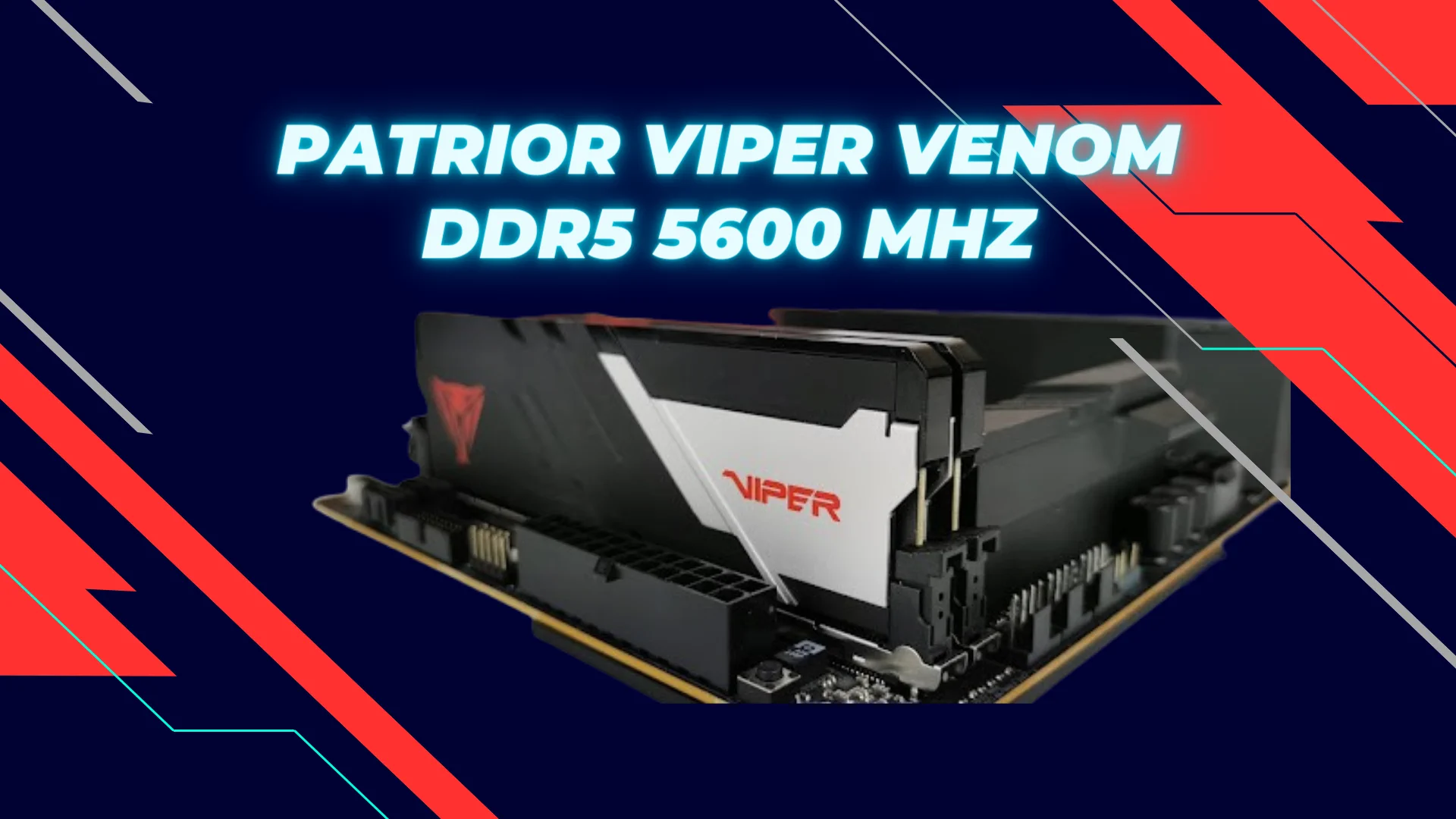 Buy Patriot 32GB Viper Venom RGB DDR5 7200 MHz UDIMM Memory Kit (2