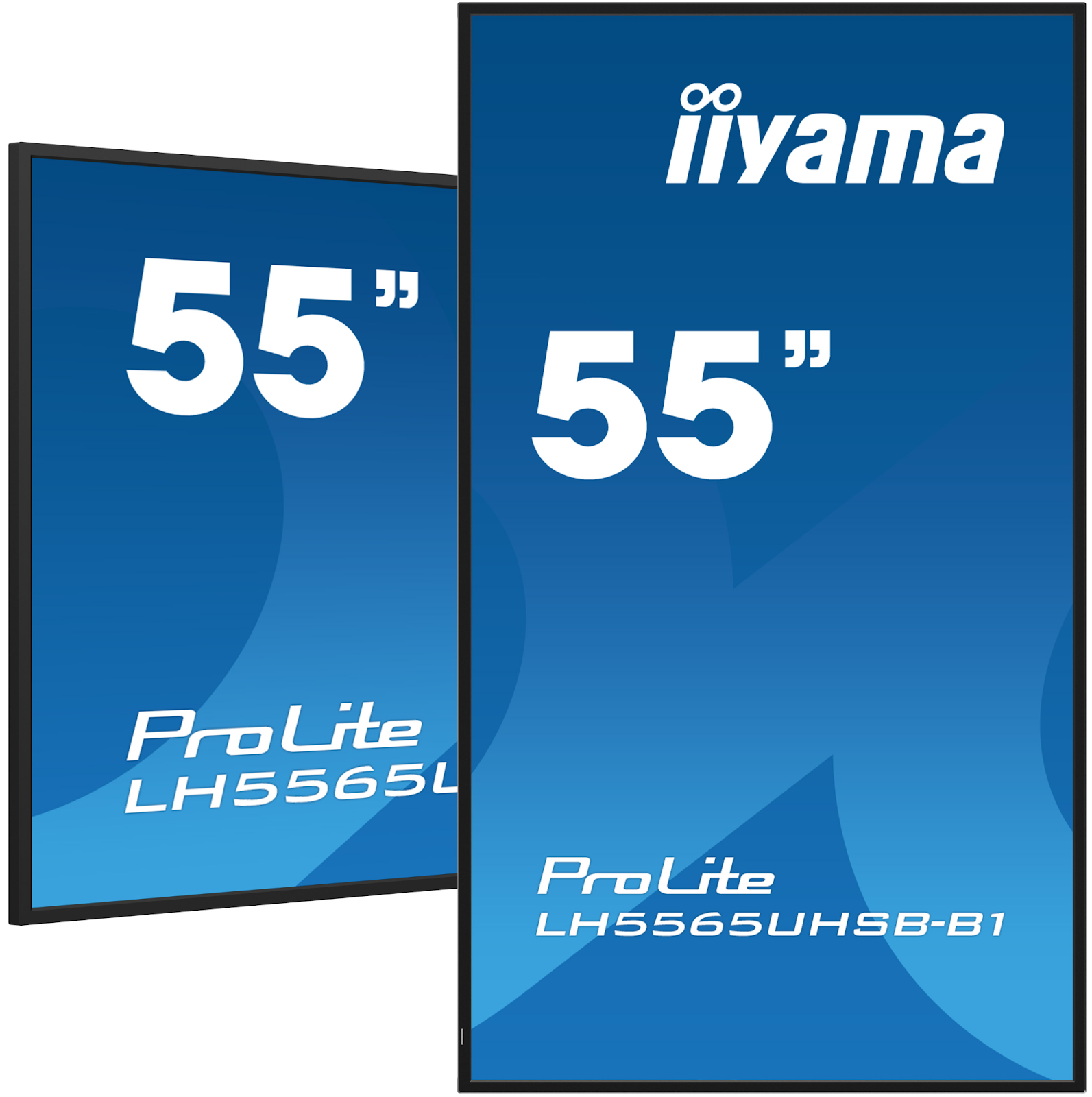 iiyama ProLite LH6542UHS
